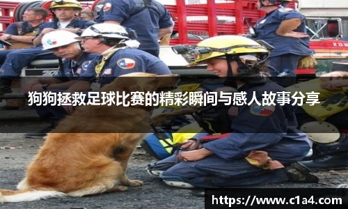 MILE米乐官方网站