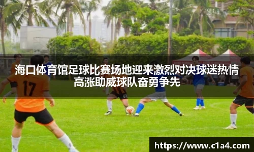 海口体育馆足球比赛场地迎来激烈对决球迷热情高涨助威球队奋勇争先