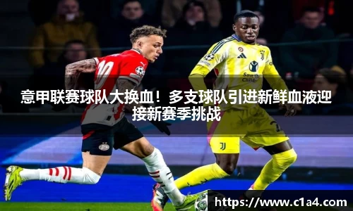 意甲联赛球队大换血！多支球队引进新鲜血液迎接新赛季挑战
