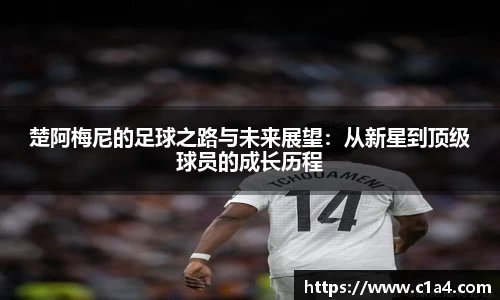 MILE米乐官方网站